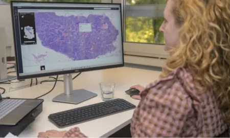 Diana Rosentul explains the complexities of regulatory compliance for integrating AI-based solutions in the healthcare industry