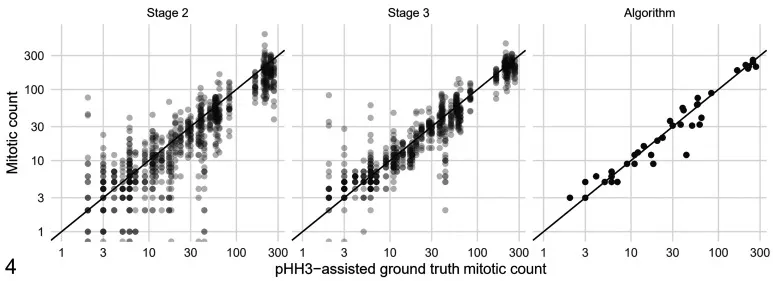 Scatterplots comparing mitosis count values obtained from participants and algorithmic methods against the ground truth. Source: Bertram et al. (2022)